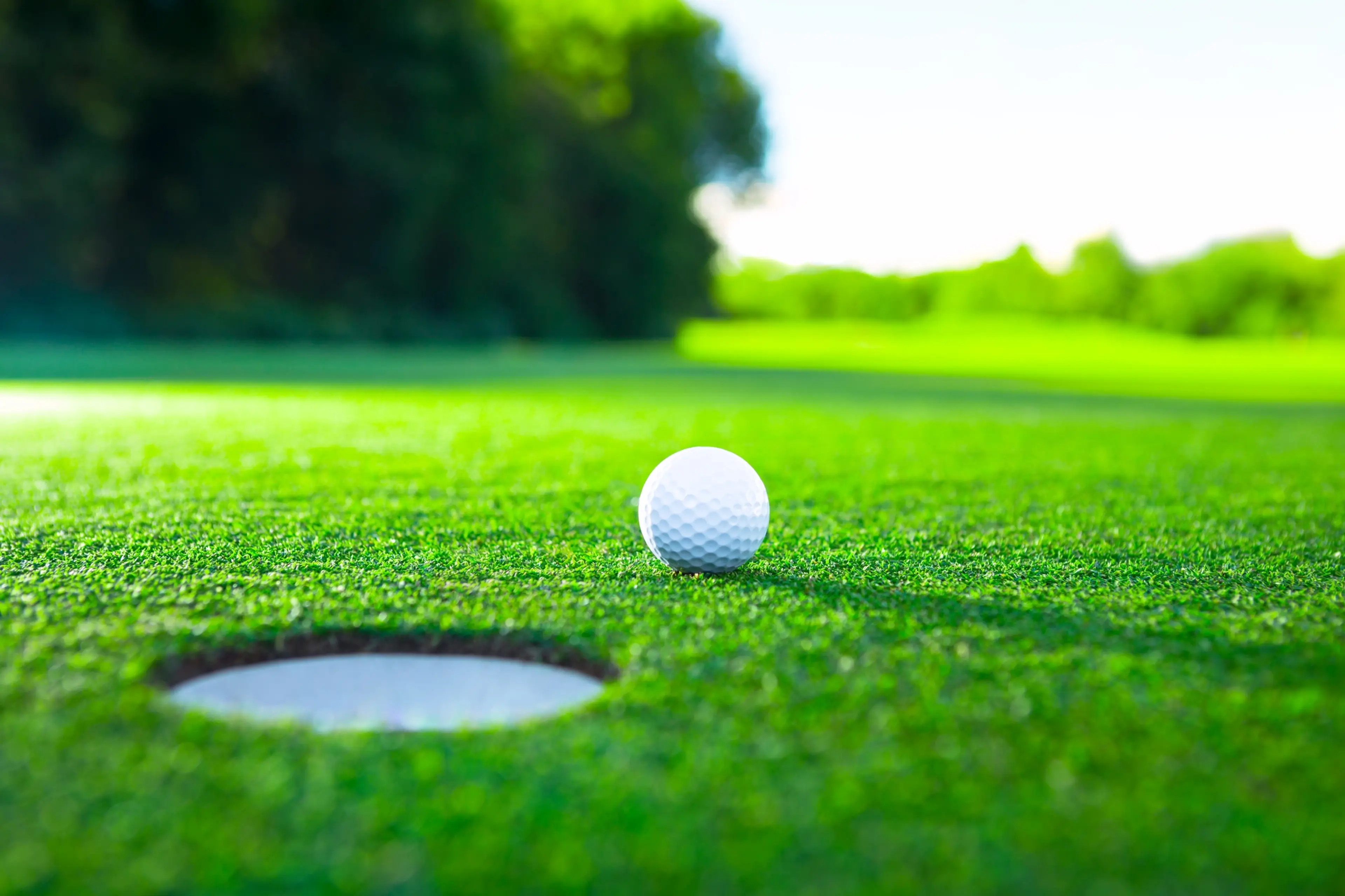 Golf ball on artificial lawn