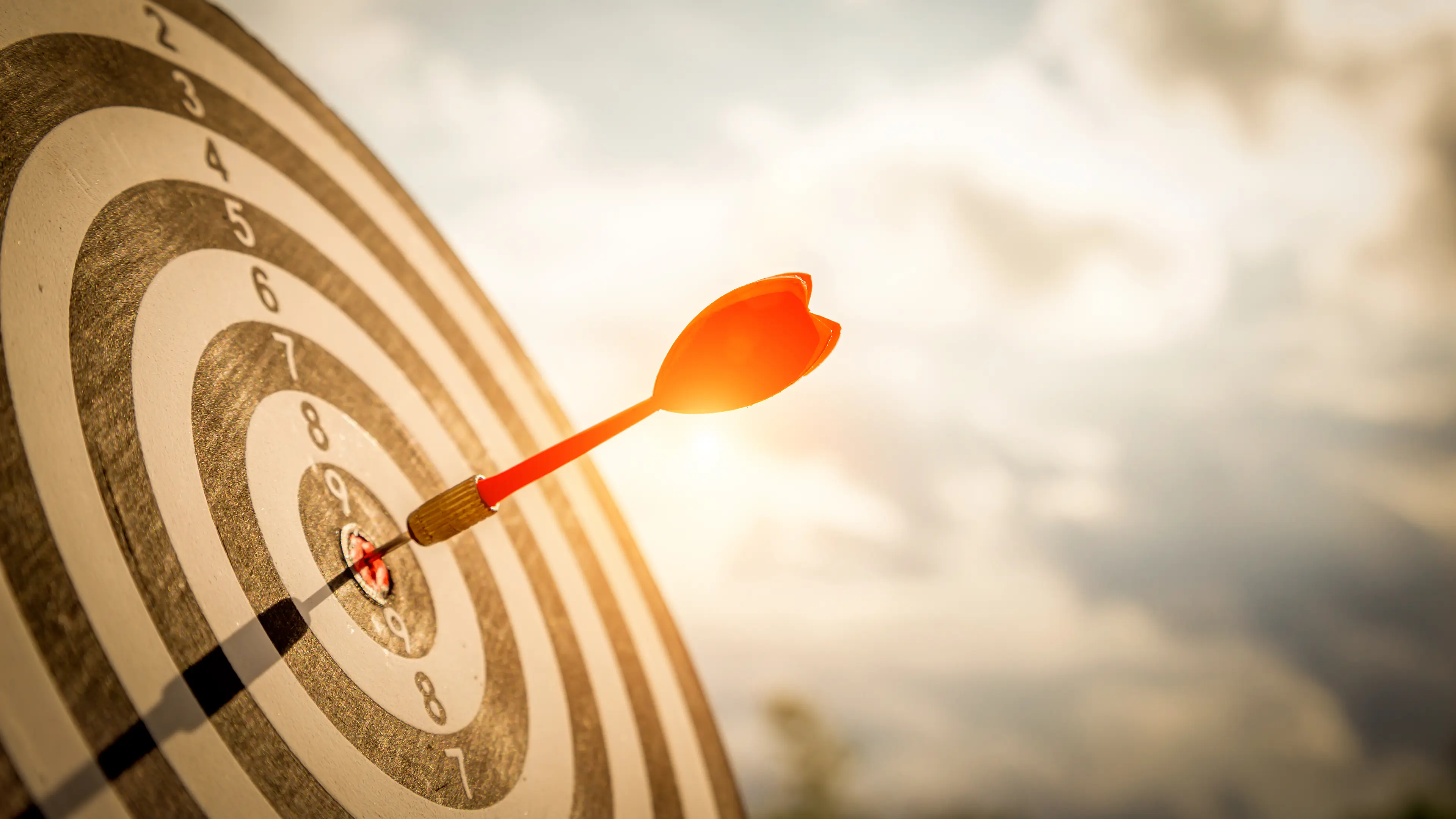 target your market dartboard
